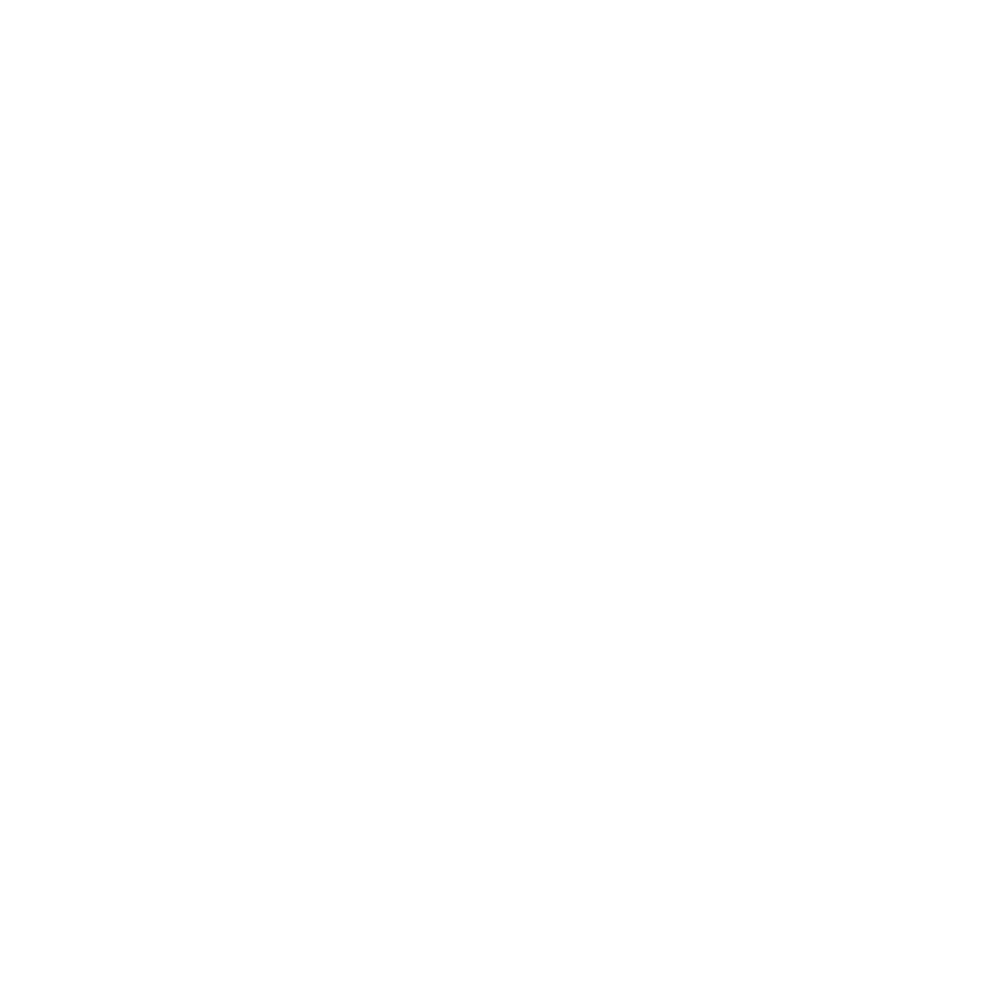 SILK WAY CARS