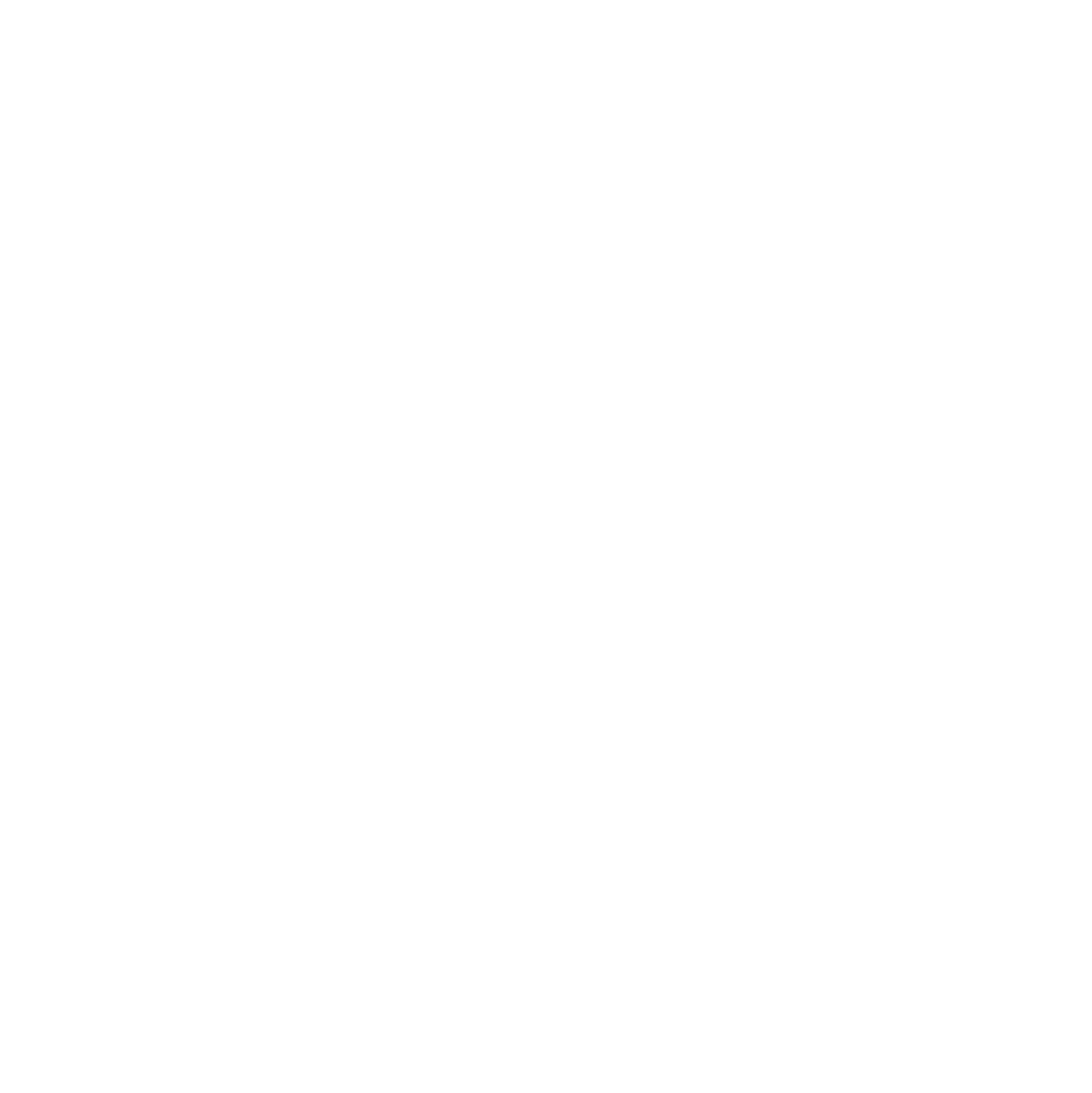 SILK WAY CHARGE